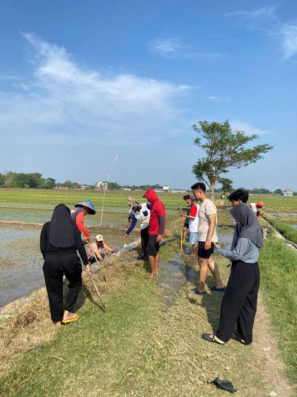 Satu Karung Tikus, Segunung Kebersamaan: Mahasiswa UNNES dan Warga Karangwuni Kompak Lakukan Gropyokan Tikus Menjelang Musim Tanam